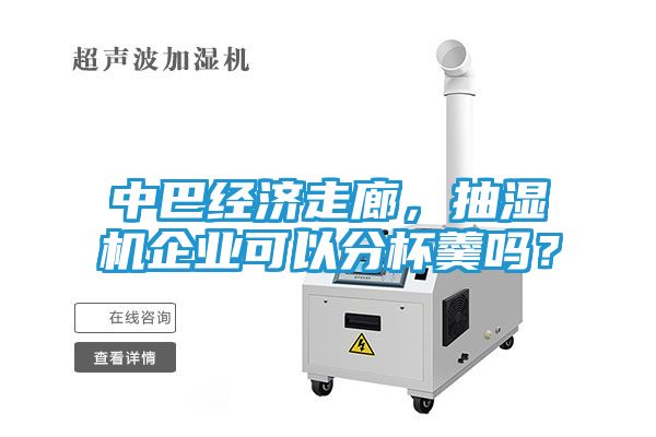 中巴经济走廊，抽湿机企业可以分杯羹吗？