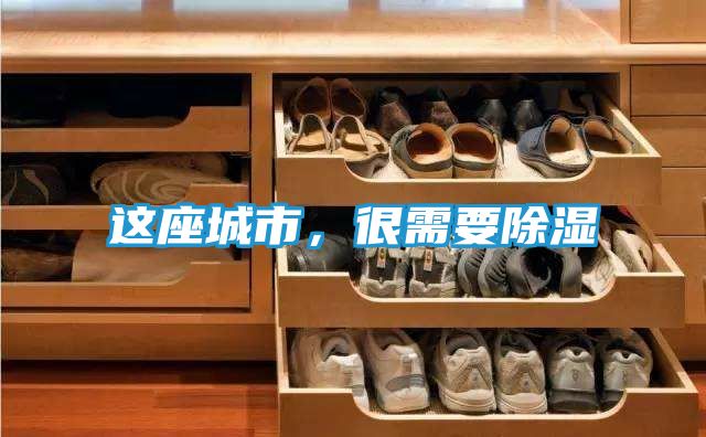 这座城市,很需要除湿