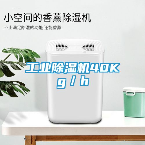 工业除湿机40Kg／h