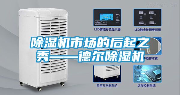 除湿机市场的后起之秀——德尔除湿机