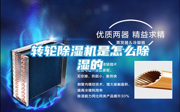 转轮除湿机是怎么除湿的