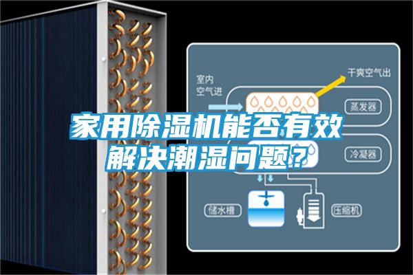 家用除湿机能否有效解决潮湿问题?