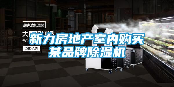 新力房地产室内购买某品牌除湿机
