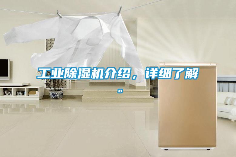 工业除湿机介绍，详细了解。