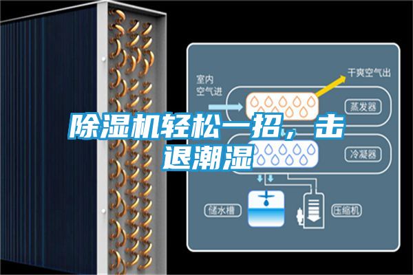 除湿机轻松一招，击退潮湿