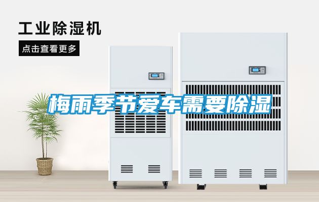 梅雨季节爱车需要除湿