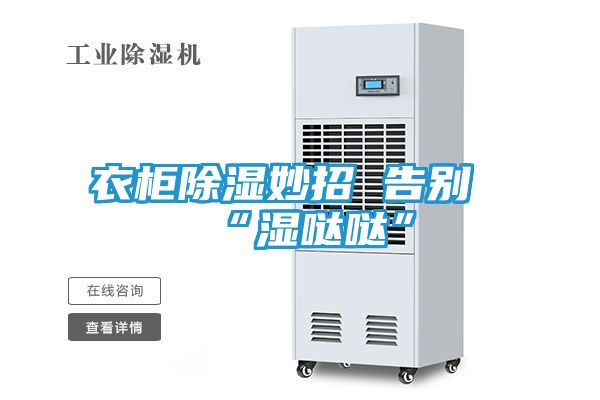 衣柜除湿妙招 告别“湿哒哒”