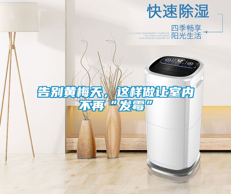 告别黄梅天，这样做让室内不再“发霉”