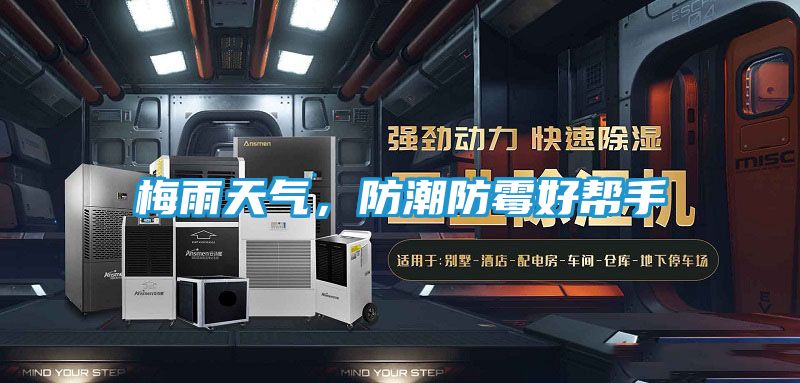 梅雨天气，防潮防霉好帮手