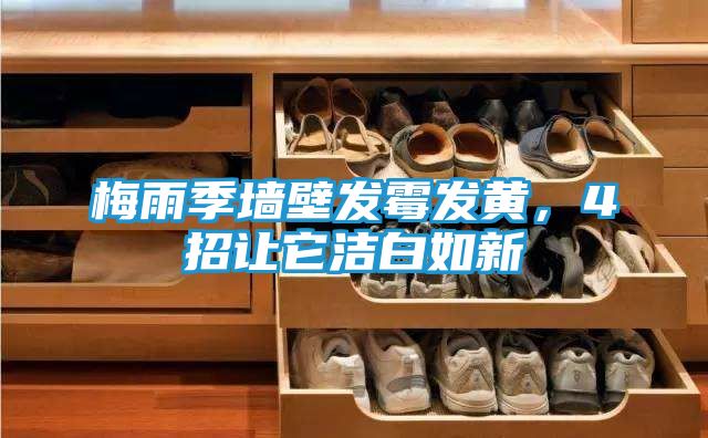 梅雨季墙壁发霉发黄，4招让它洁白如新