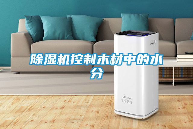 除湿机控制木材中的水分