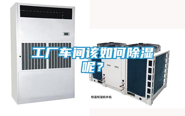 工厂车间该如何除湿呢？