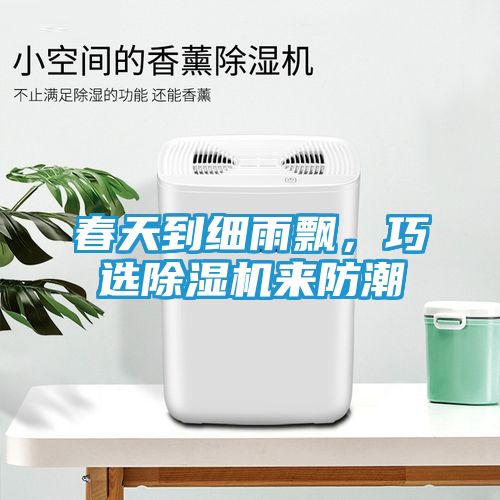 春天到细雨飘，巧选除湿机来防潮
