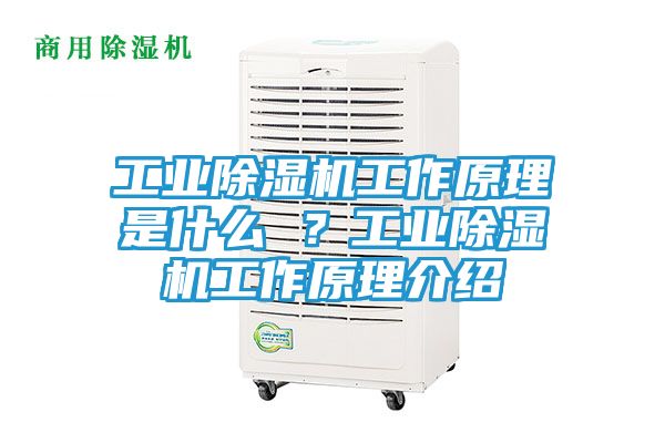 工业除湿机工作原理是什么 ？工业除湿机工作原理介绍