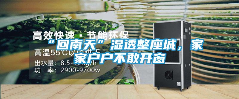 “回南天”湿透整座城，家家户户不敢开窗
