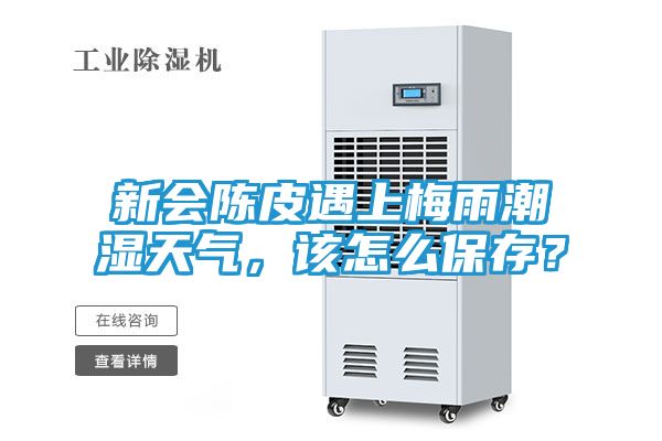 新会陈皮遇上梅雨潮湿天气，该怎么保存？