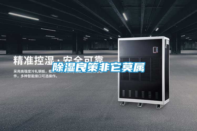 除湿良策非它莫属