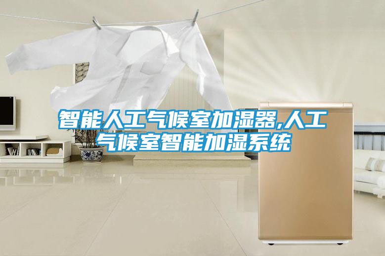 智能人工气候室加湿器,人工气候室智能加湿系统