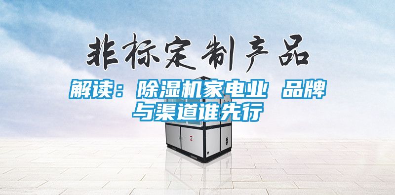 解读：除湿机家电业 品牌与渠道谁先行