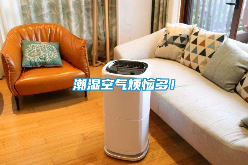 潮湿空气烦恼多!