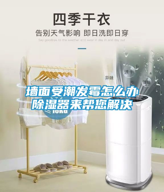 墙面受潮发霉怎么办除湿器来帮您解决