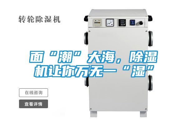 面“潮”大海,除湿机让你万无一“湿”