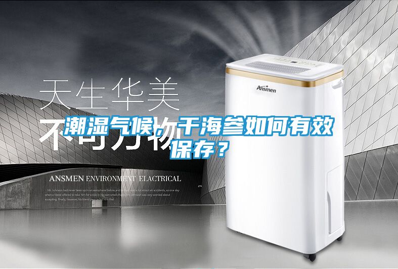 潮湿气候，干海参如何有效保存？