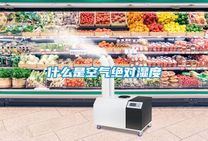 什么是空气绝对湿度