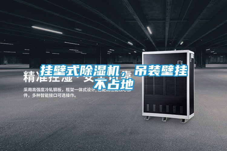 挂壁式除湿机，吊装壁挂不占地