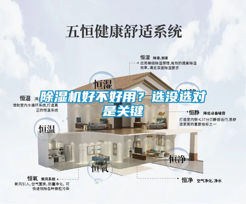 除湿机好不好用?选没选对是关键