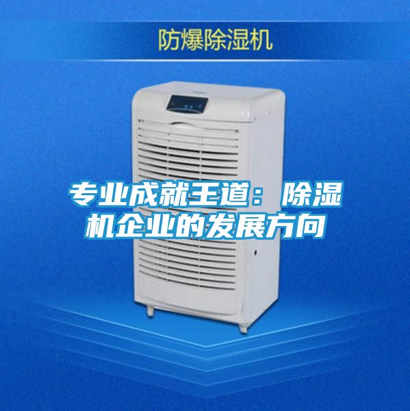 专业成就王道：除湿机企业的发展方向