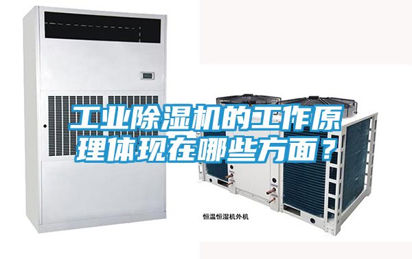 工业除湿机的工作原理体现在哪些方面？