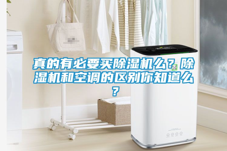 真的有必要买除湿机么？除湿机和空调的区别你知道么？