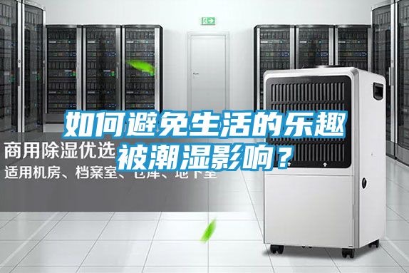 如何避免生活的乐趣被潮湿影响？