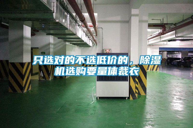 只选对的不选低价的，除湿机选购要量体裁衣