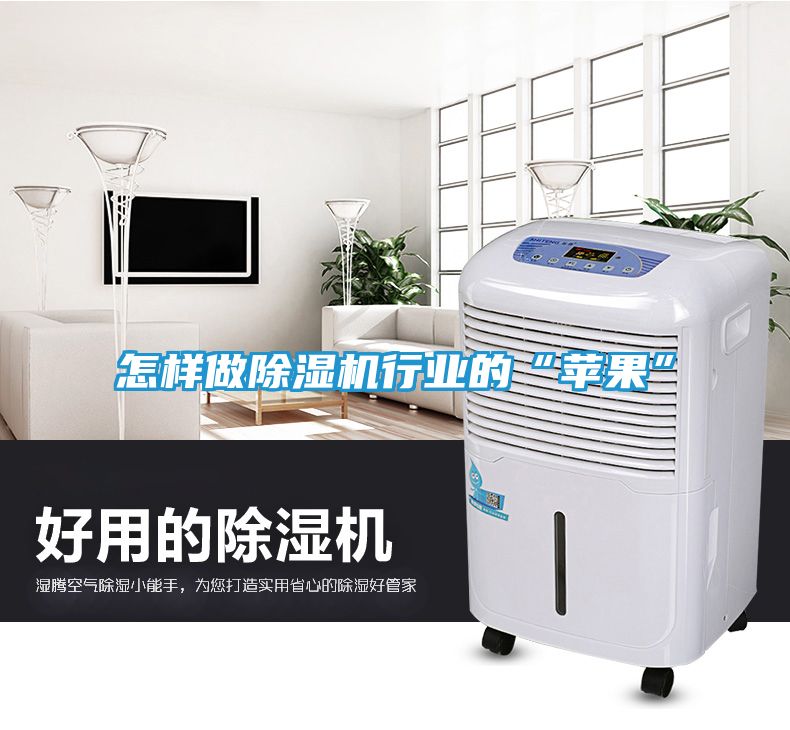 怎样做除湿机行业的“苹果”