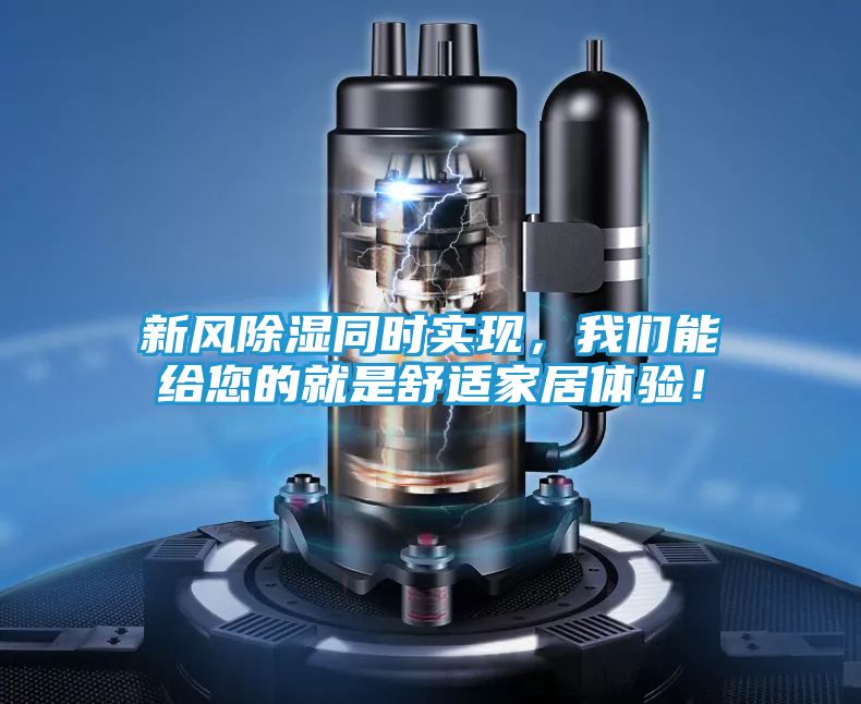 新风除湿同时实现，我们能给您的就是舒适家居体验！