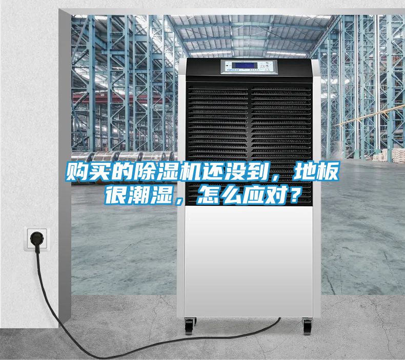 购买的除湿机还没到，地板很潮湿，怎么应对？