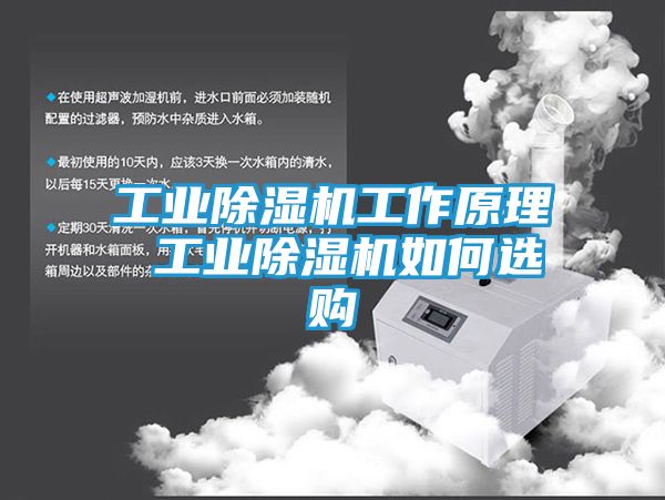 工业除湿机工作原理 工业除湿机如何选购