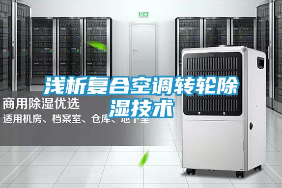 浅析复合空调转轮除湿技术