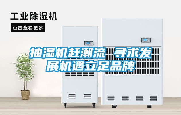 抽湿机赶潮流 寻求发展机遇立足品牌