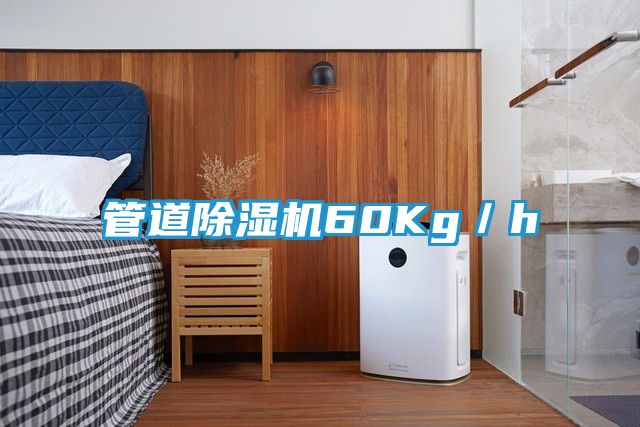 管道除湿机60Kg／h