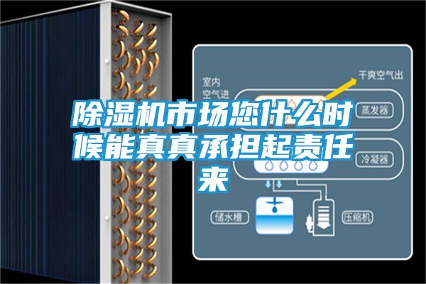 除湿机市场您什么时候能真真承担起责任来