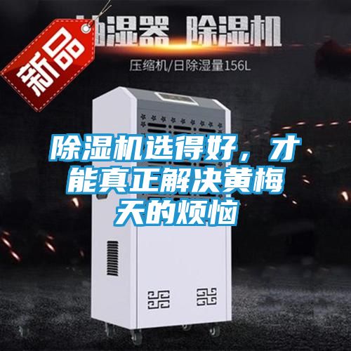 除湿机选得好,才能真正解决黄梅天的烦恼