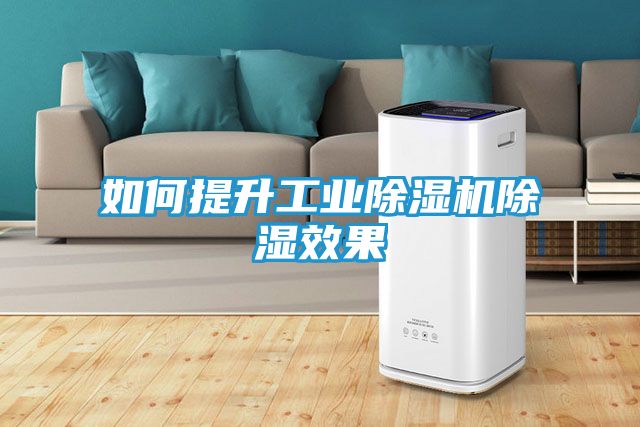 如何提升工业除湿机除湿效果