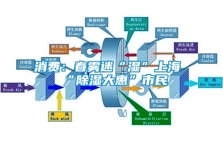 消费：春雾迷“湿”上海 “除湿大惠”市民