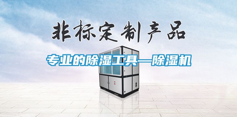 专业的除湿工具—除湿机