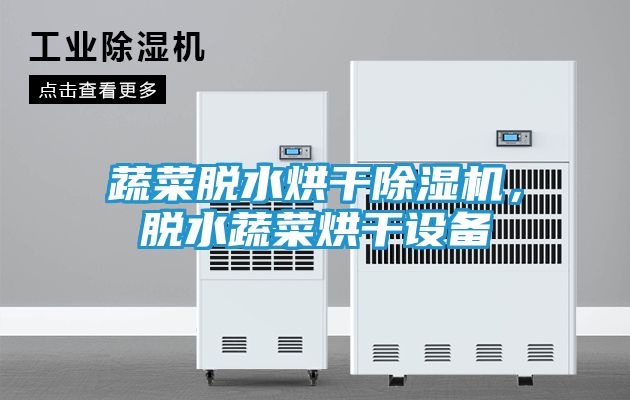 蔬菜脱水烘干除湿机,脱水蔬菜烘干设备