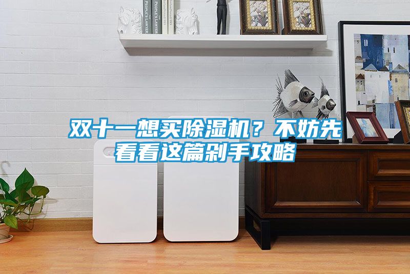 双十一想买除湿机？不妨先看看这篇剁手攻略