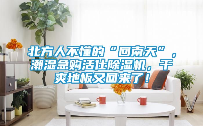 北方人不懂的“回南天”，潮湿急购活仕除湿机，干爽地板又回来了！